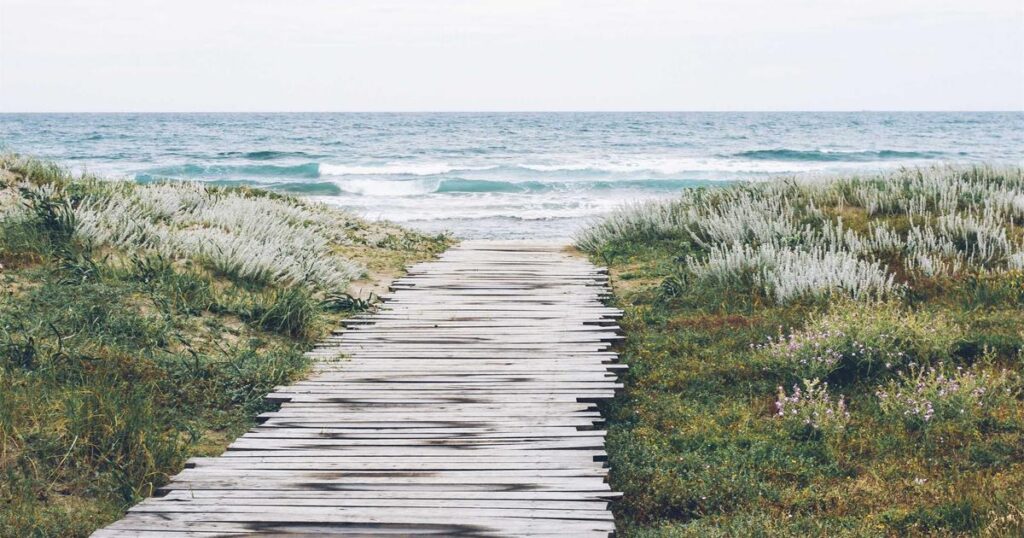 Avid S6L terrain ingénieurs - présentation